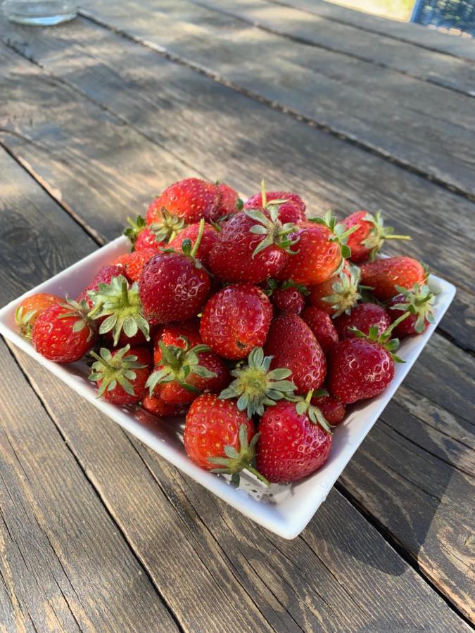 Agriturismo Turudhis 托尔托利 外观 照片