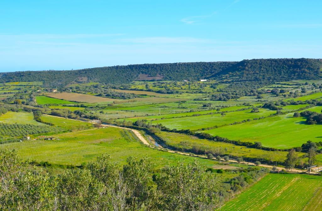 Agriturismo Turudhis 托尔托利 外观 照片