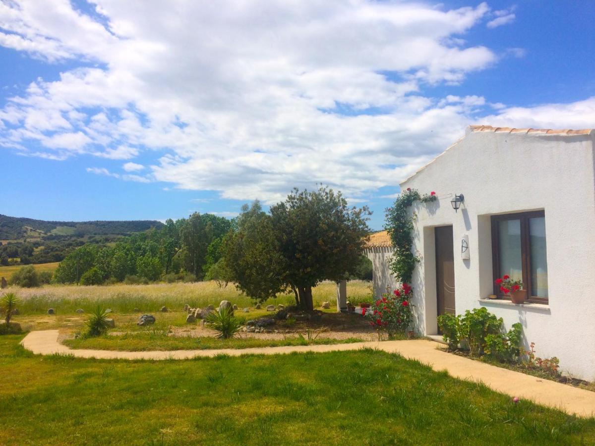Agriturismo Turudhis 托尔托利 外观 照片