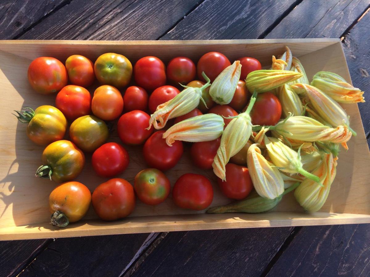 Agriturismo Turudhis 托尔托利 外观 照片